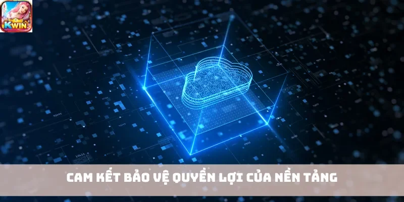 Cam kết bảo vệ quyền lợi của nền tảng
