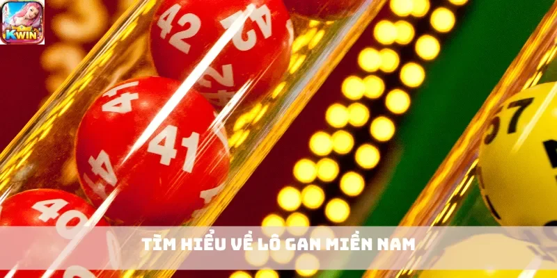 Tìm hiểu về lô gan miền Nam