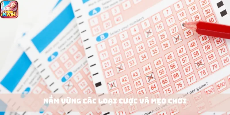 Nắm vững các loại cược và mẹo chơi